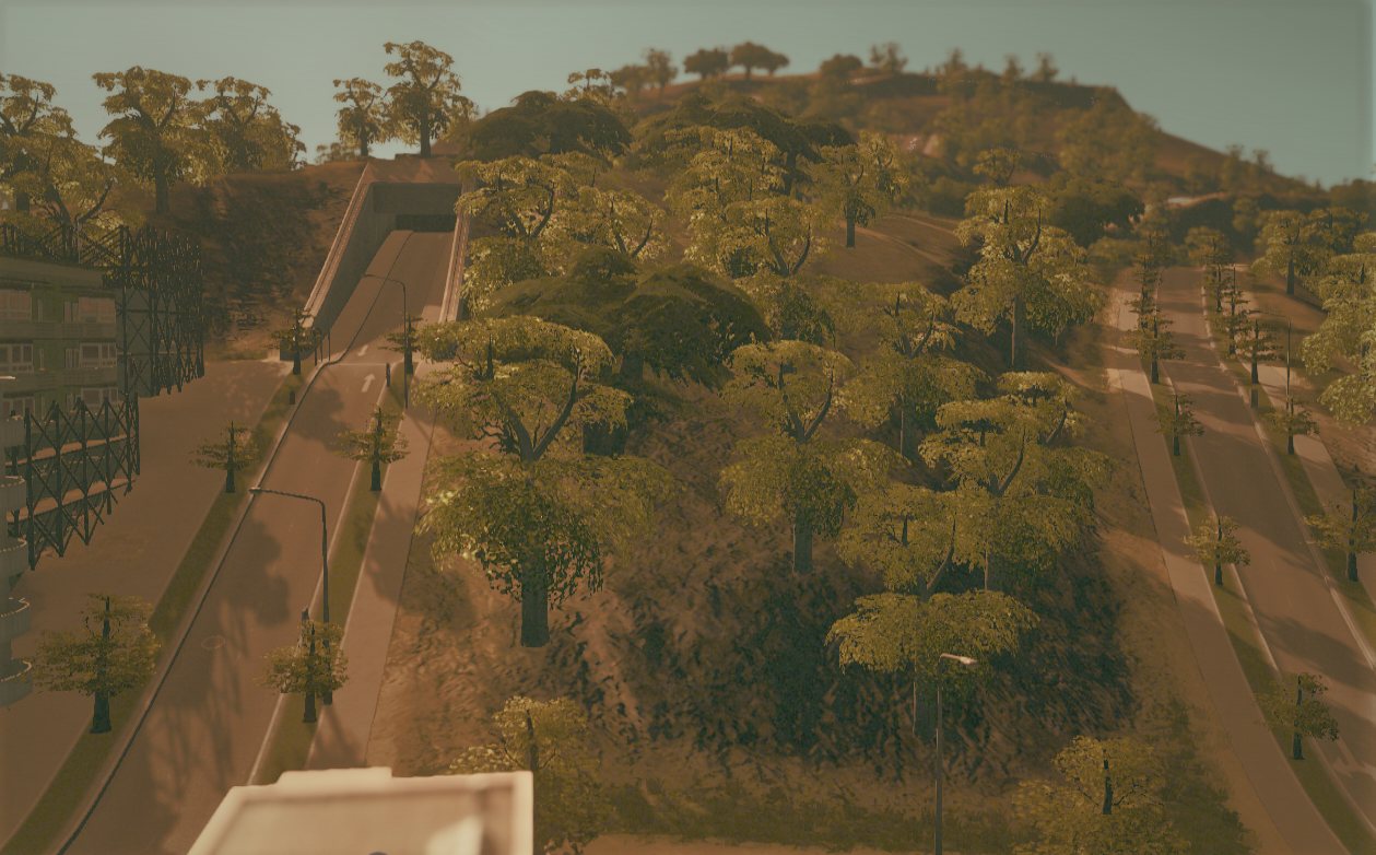 Tree-lined Ways